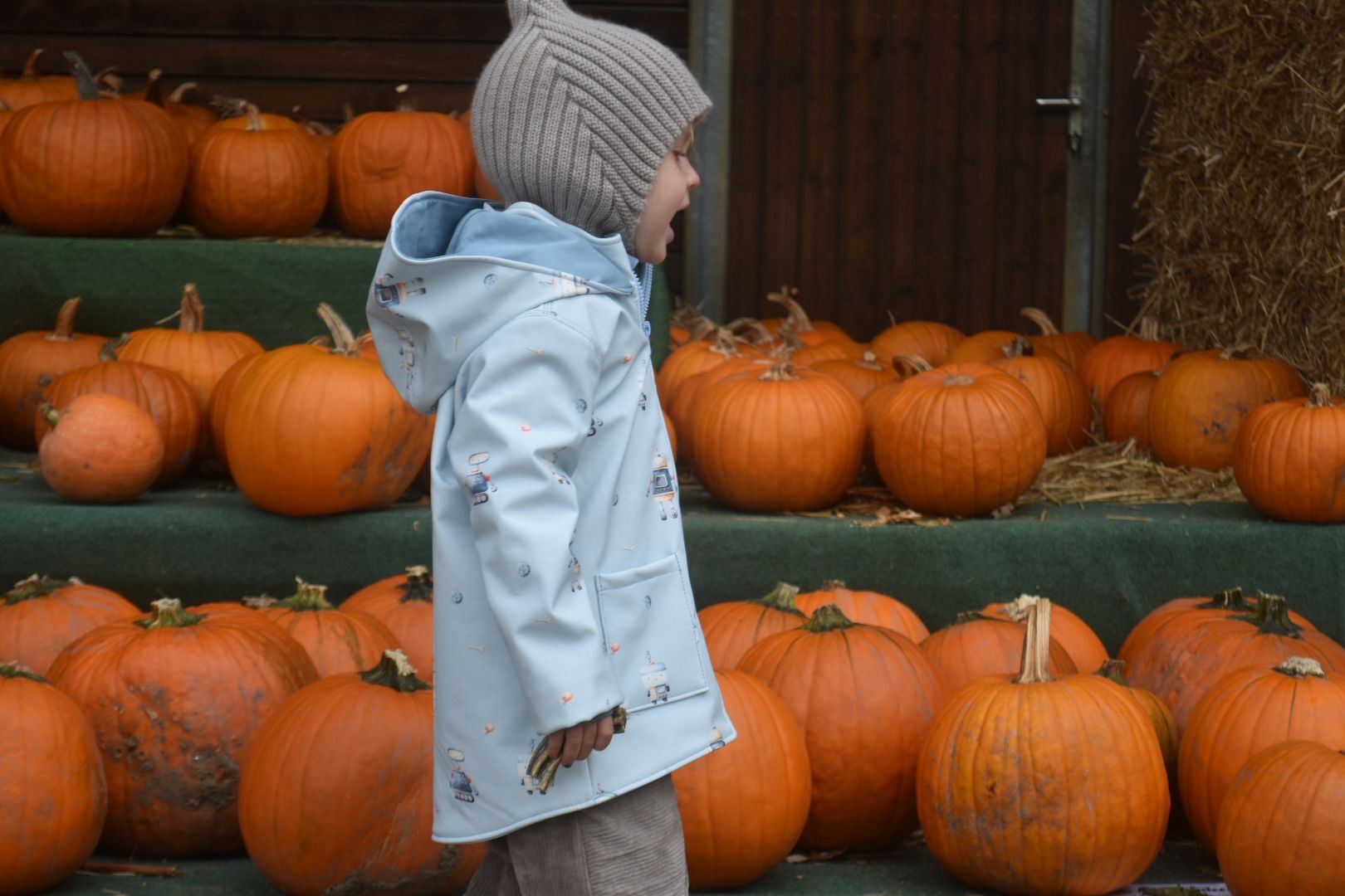 Softshelljacke für Kinder in blau gefüttert