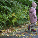 Softshelljacke Kinder Altrosa Feen – Perfekt für kleine Abenteurerinnen