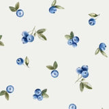Jersey Blaubeeren