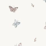 Jersey Schmetterling