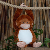 Kuscheltier Affe 