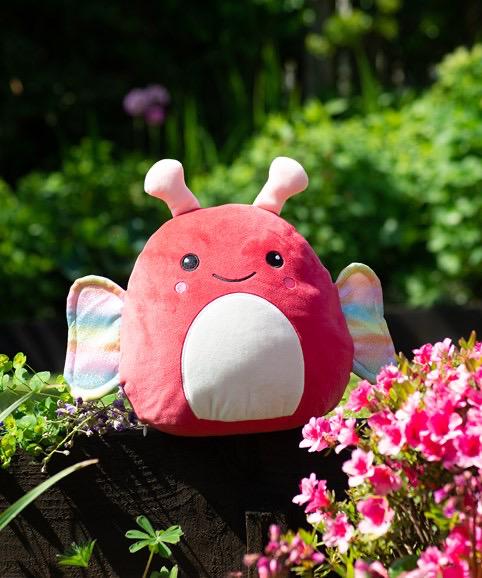 Kuscheltier mit Namen, personalisiertes Kuscheltier, personalisiertes Stofftier, Kuscheltier Pony, Kuscheltier Schmetterling, bestickt
