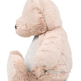 Kuscheltier mit Namen „ Teddy“